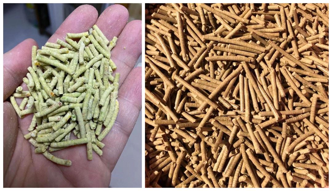 Pellet machine produces finished products Pellet machine produces finished products