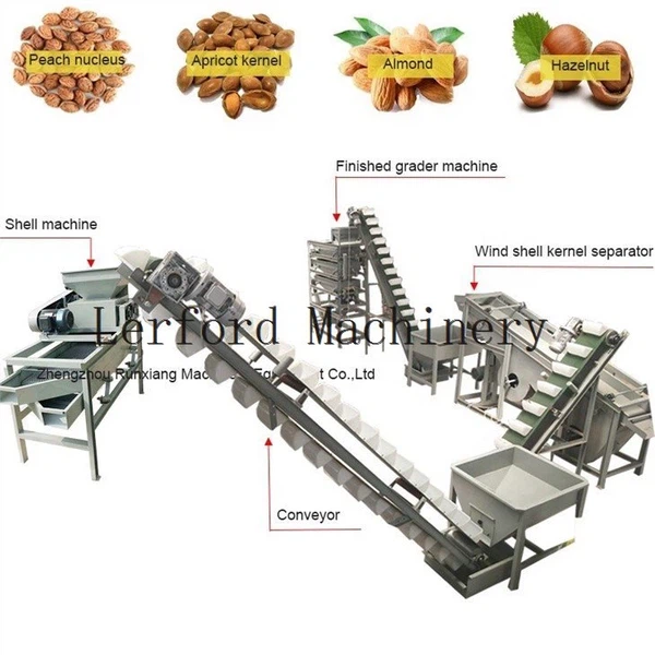 nut sorting machine nut sorting machine