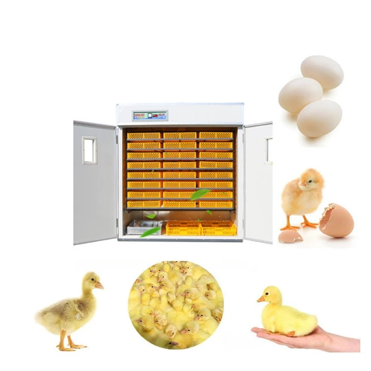 Best Incubator For Turkey Eggs best